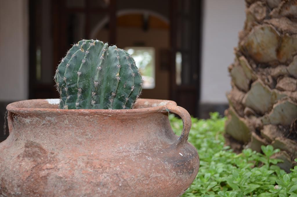Finca El Carmen Angastaco Luaran gambar