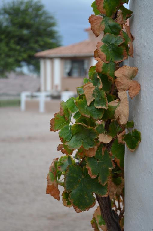 Finca El Carmen Guest House Angastaco Luaran gambar